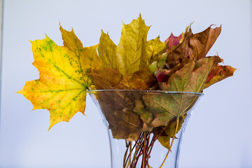 A bunch of colorful, dried autumn leaves.