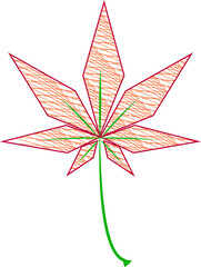 Illustration of Japanese maple leaf in transparent background