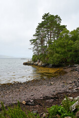 Fototapeta na wymiar Loch Ewe mit Strand und Bäumen an der Küstenlinie, Blick vom Inverewe Garden, bei Poolewe, Achnasheen, Highland, Schottland