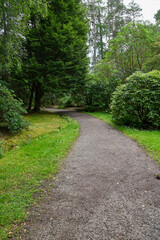 Fototapeta na wymiar botanischer Garten Inverewe Garden, bei Poolewe, Achnasheen, Highland, Schottland