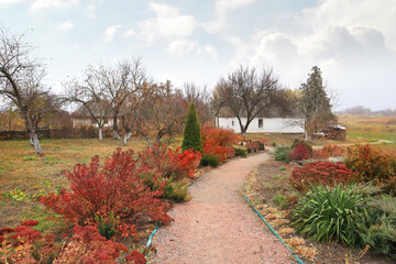 Autumn landscape in cloudy day
