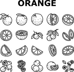 orange citrus fresh slice juice icons set vector. sweet food, leaf juicy, organic half, green, cut vitamin, healthy tropical, ripe orange citrus fresh slice juice black contour illustrations