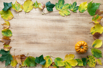 Thanksgiving background with pumpkins and leaves over light wooden table