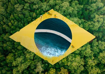 Papier Peint photo Lavable Brésil Brazilian flag with nature elements