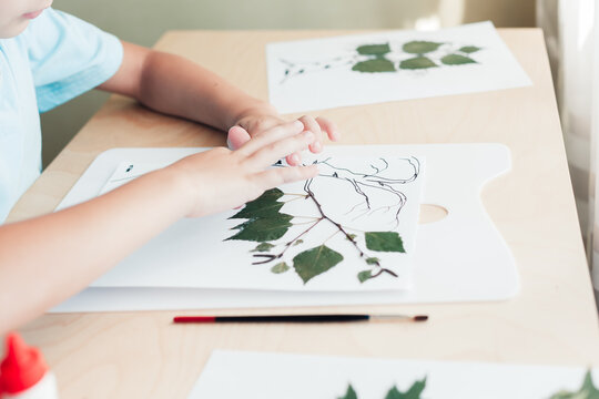 Cute child sitting at desk and making picture from dry birch leaves