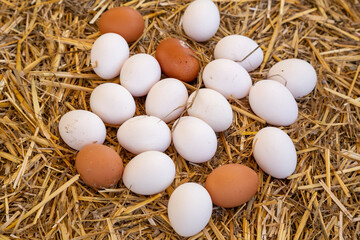 Organic fresh eggs on straw at farmer marke