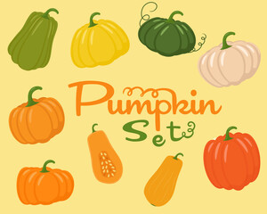 Autumn pumpkin set in various shapes and colours. Vector illustration.