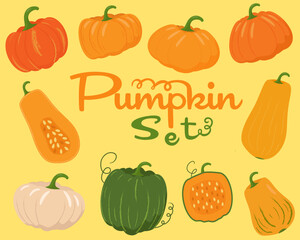 Autumn pumpkin set in various shapes and colours. Vector illustration.