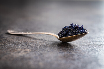 Black caviar in silver spoon on dark table. - obrazy, fototapety, plakaty