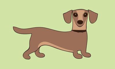 sweet little Dachshund