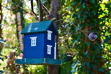 fairies house