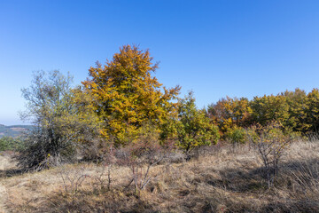 Amazing Autumn Landscape of Erul mountain, Bulgaria