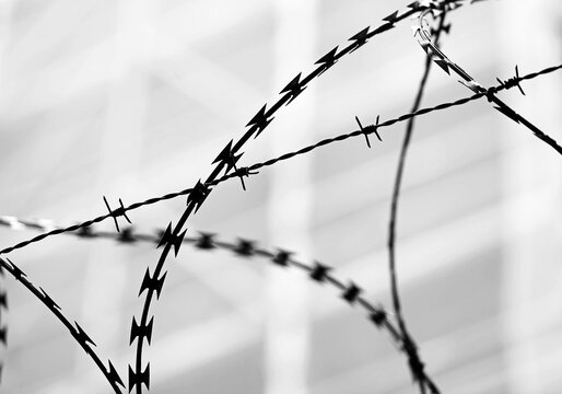 barbed wire of an impassable border with black and white tones