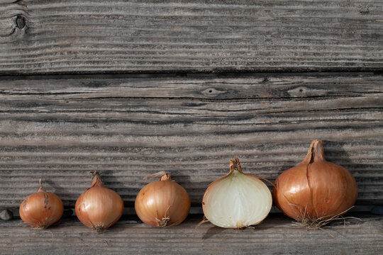 Several onions lie next to each other. They are sorted by size. An onion is sliced. The background are planks of wood. There is space for text.