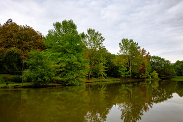 Fototapeta na wymiar Fall view. Pond in the forest at autumn. Ataturk Arboretum in Istanbul