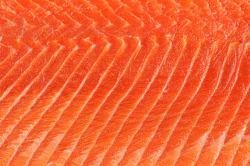 fresh salmon fillet background