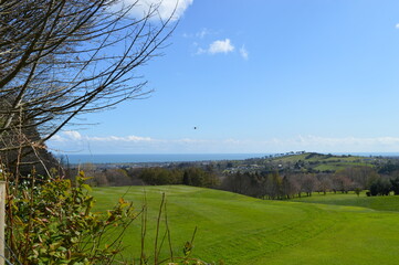 landscape with trees and sky