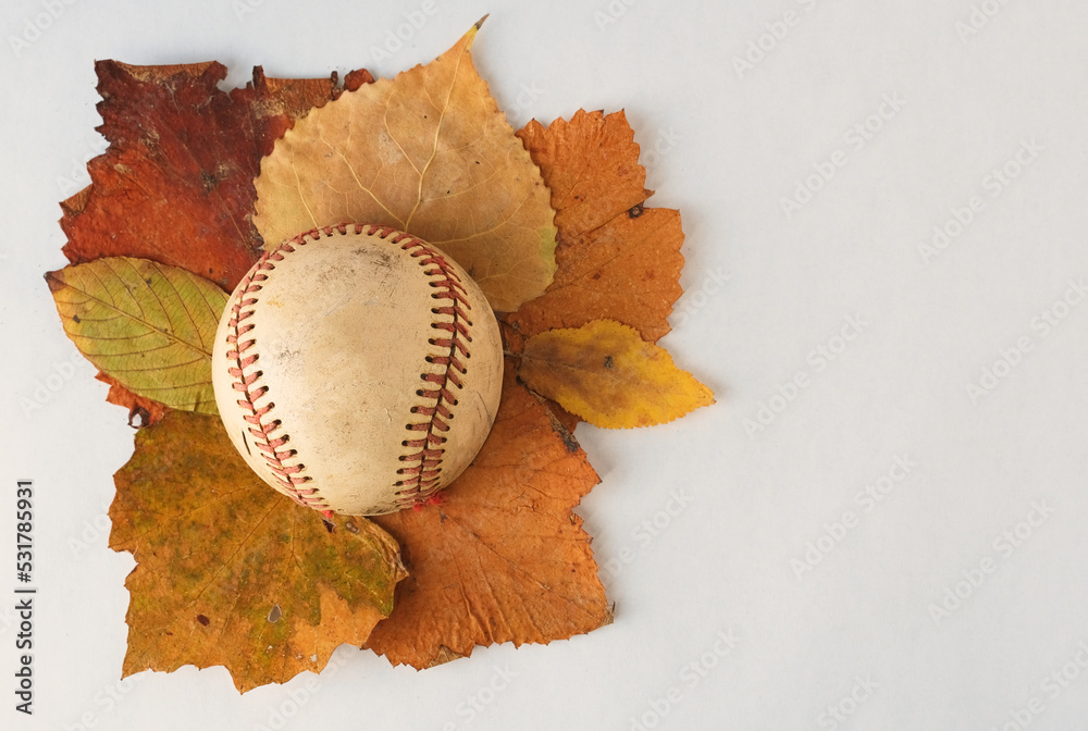 Wall mural fall ball sport background with baseball on leaves and copy space. - Wall murals