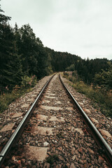 Obraz premium Photo of train rails in country landscape in the middle of forest with trees on background. Train rails crossing dark and old forest in Europe. Vintage photo of rails.