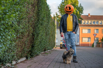 Mann mit Kürbis auf dem Kopf geht an Halloween mit dem Hund spazieren
