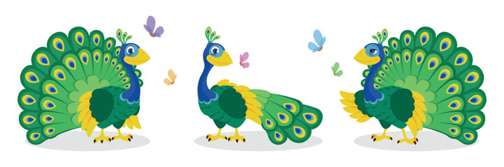 Vector illustration of a cute and beautiful peacock on white background. Charming characters in different poses stand spread out and folded tail in cartoon style.