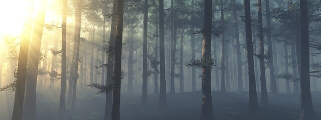 Pine forest in the morning in the rays of the rising sun in a foggy haze, 3d rendering