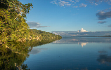 Beautiful jungle at Lake Peten Itza, El Remate, Petén, Guatemala