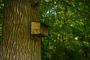 birdhouse on tree