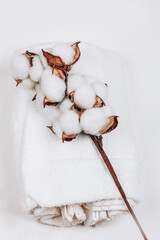 Cotton towel and coton branch. Natural eco friendly fabric