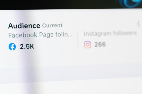 Checking facebook and instagram audience page