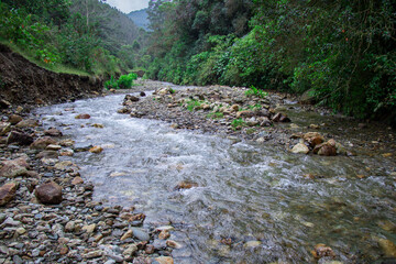Uncontaminated river in Colombian natural ecosystem