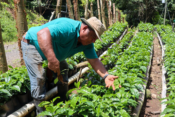 Farmer holding a plant in the field