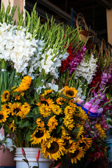 Sale of various colourful flowers in the market of San Pedro, Cusco, Peru. 