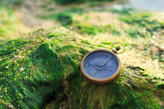 Old vintage compass lost on the sea coast. Travel, geography, treasure hunting concept.