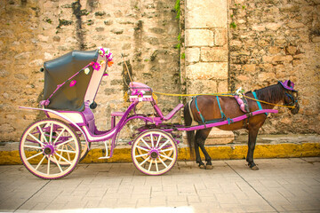 Calesa con caballo de Izamal 