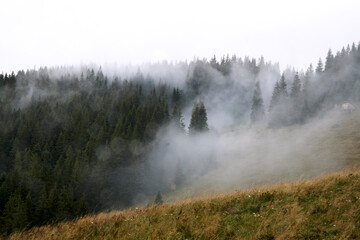 Incredible view of the Carpathian mountains early in the morning. sunrise in the mountains. Cloudy sky after rainy night on the top of the hill. Mountain valley at sunrise. Rain drops on lens