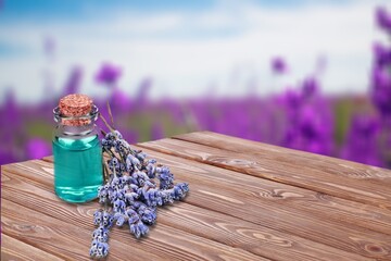 Obraz na płótnie Canvas Aroma fresh colored lavender in the field.