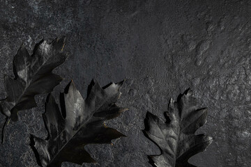 Painted fall oak leaves on a black background. halloween concept