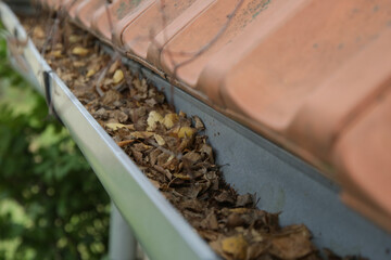 Gutter full of old autumn leaves and dirt.	