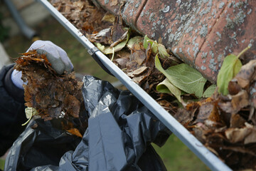 Cleaning the gutter from autumn leaves before winter season. Roof gutter cleaning process.	