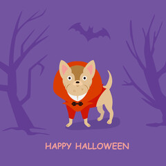 Chihuahua dog with red vampire Halloween costume vector illustration with red costume for card design with lettering phrase - Happy Halloween