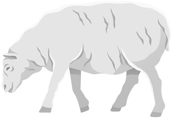 White ship, domestic farm animal. Lamb with wool, ruminant mammal vector illustration. Farming, animal husbandry and livestock breeding. Domesticated farm sheep for meat and wool production