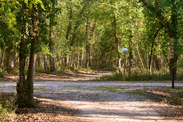 Walking path at Selva del Circeo Natural Reserve, Circeo National Park, Italy