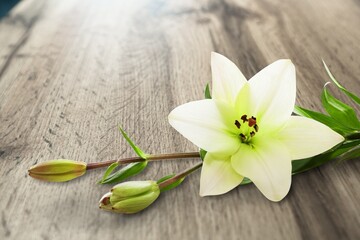 Fresh aroma flower on wooden table