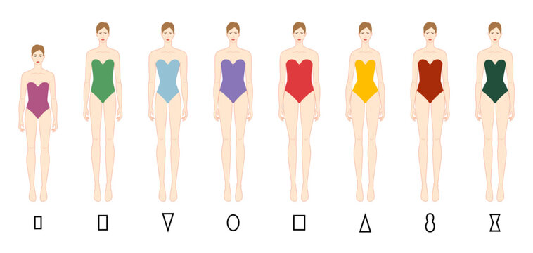 Set of Women body shape types: apple, pear, column, brick, hourglass, inverted triangle, petite in underwear. Female Vector illustration 9 head size lady figure front view outline sketch girl