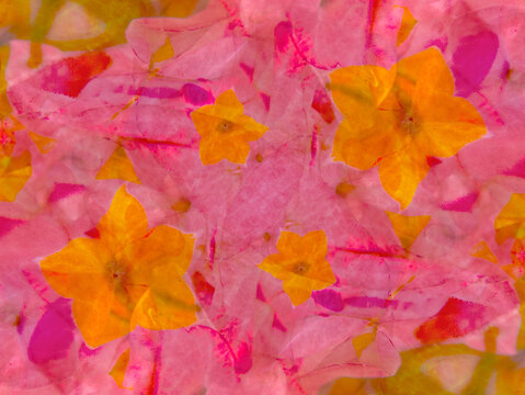 Bold Pink And Yellow Floral Abstract.
