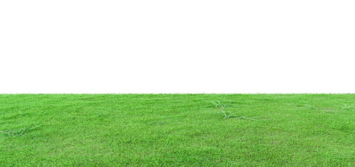 grass filed isolated on transparent background - PNG format.