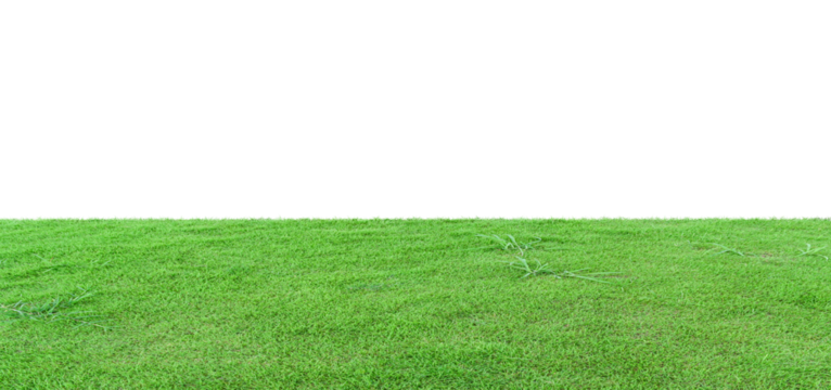 grass filed isolated on transparent background - PNG format. - Powered by Adobe