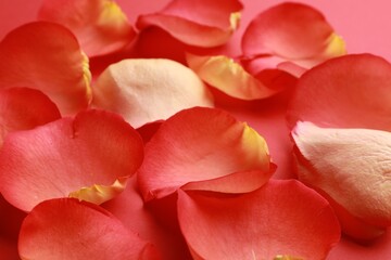 Beautiful fresh rose petals on coral background, closeup