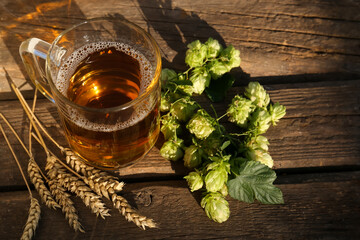 Mug with beer, fresh hops and ears of wheat on wooden table, above view